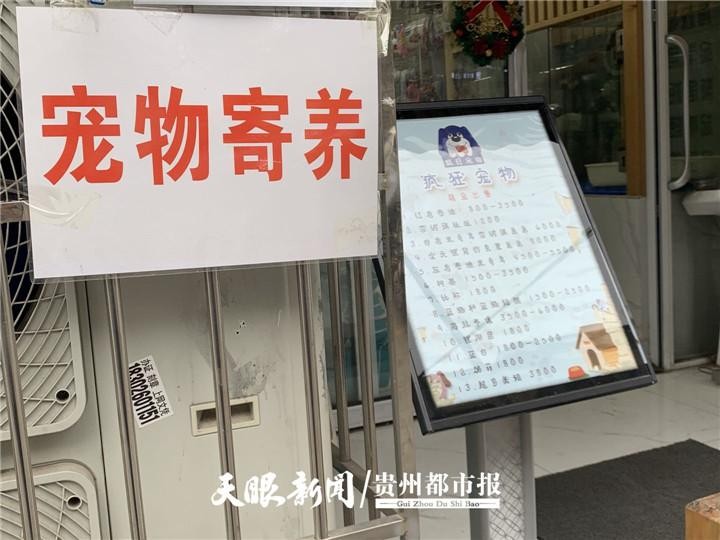 @铲屎官们，春节宠物“托儿所”要涨价！寄养预订已超过一半，价格涨幅30%-50%